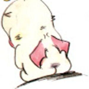 Meet your Posher, Chance